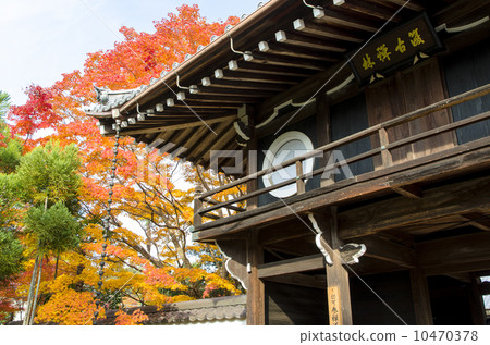 Autumn leaves of Genkoan 10470378