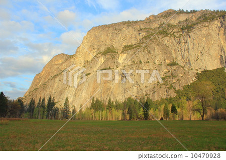 約塞米蒂國家公園在清晨 約塞米蒂國家公園在清晨 10470928