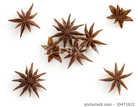 anise star on white 10471022