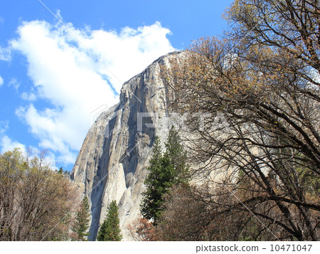 春天優勝美地國家公園 春天優勝美地國家公園 10471047