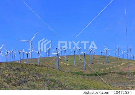 特哈查比風電場 特哈查比風電場 10471524