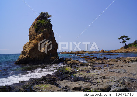 Tateishi Tateishi 10471716