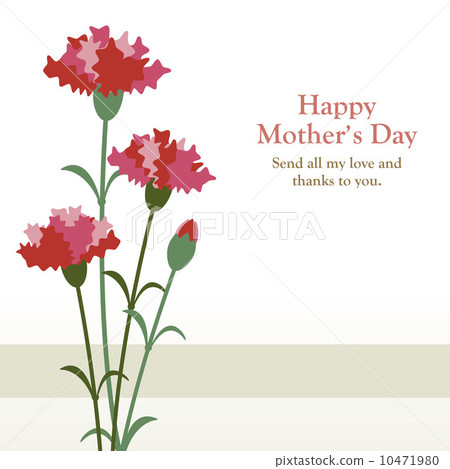carnation, carnations, mothers day 10471980