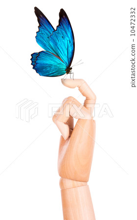 butterfly on wooden hand. In motion 10472332