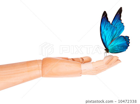 butterfly on wooden hand. In motion 10472338