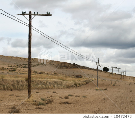 Old electric poles 10472473