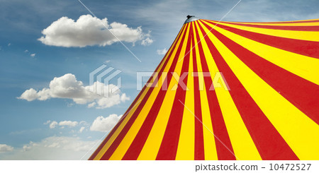 Circus dome Circus dome 10472527