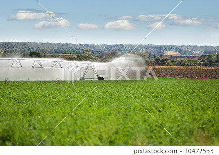 Irrigation Systems Irrigation Systems 10472533