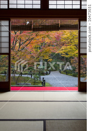 Enko-ji秋葉 10473031