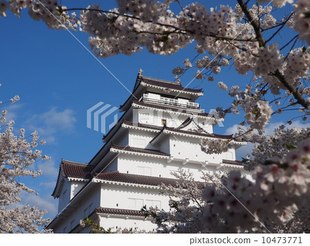 Aizuwakamatsu Tsuruga castle in spring Aizuwakamatsu Tsuruga castle in spring 10473771