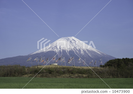 Mount Fuji and carp streamers 10473900