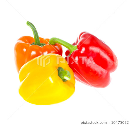 Colored Fresh Sweet Pepper Isolated on White Background Colored Fresh Sweet Pepper Isolated on White Background 10475022