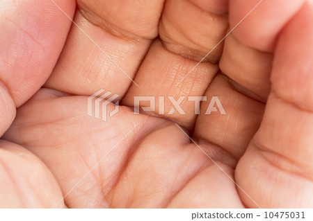 Hand palm Hand palm 10475031
