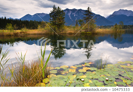 water lily on Barmsee in Alps 10475333