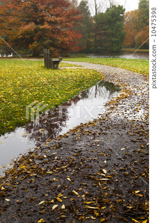 puddle on path in autumn puddle on path in autumn 10475398