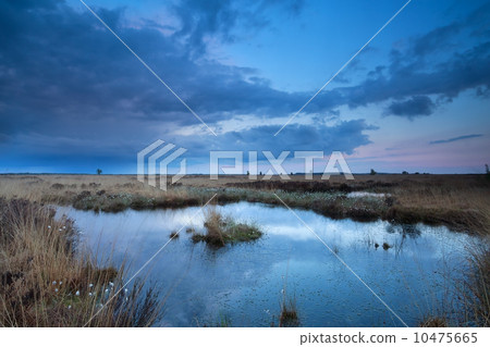 sunset sky over swamp in summer 10475665