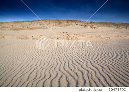 sand wave texture ob North sea beach 10475702