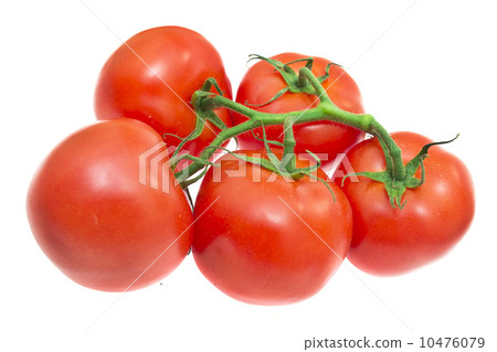 Branch of tomatoes isolated on white background Branch of tomatoes isolated on white background 10476079