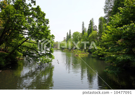 Inokashira Park Inokashira Park 10477091