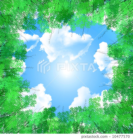 森林和天空背景·夏天天空 10477570