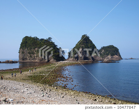 Dragonfly of Sanshirojima 10477847