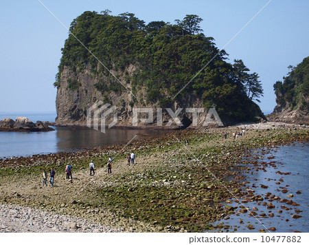 越過Sankiro島蜻蜓 10477882