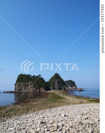 Dragonfly of Sanshirojima 10477948