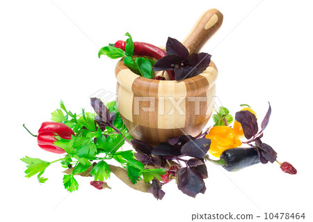 Herb leaves of parsley, bay leaves and peppercorns, pepper in mo Herb leaves of parsley, bay leaves and peppercorns, pepper in mo 10478464