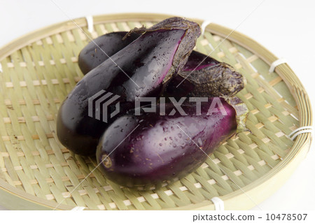 Chairperson 10478507