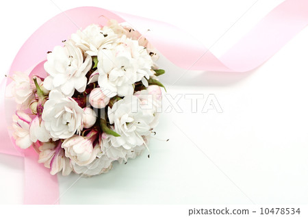 Glory Bower flower Glory Bower flower 10478534