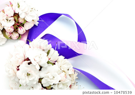 Glory Bower flower 10478539