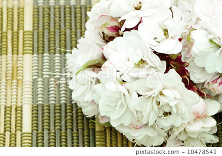 Glory Bower flower Glory Bower flower 10478541