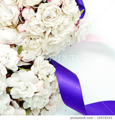 Glory Bower flower Glory Bower flower 10478543