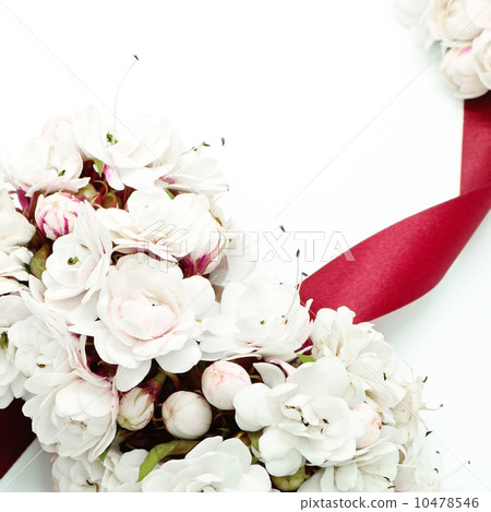 Glory Bower flower Glory Bower flower 10478546