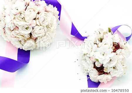 Glory Bower flower Glory Bower flower 10478550