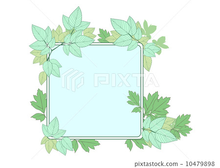 The view of plant 10479898