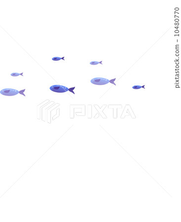 The view of fish 10480770