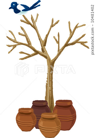 The view of tree 10481402