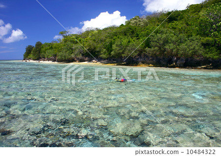 Palau Palau 10484322