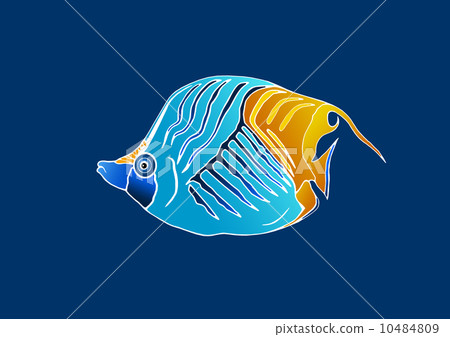 Spiny butterfly 10484809