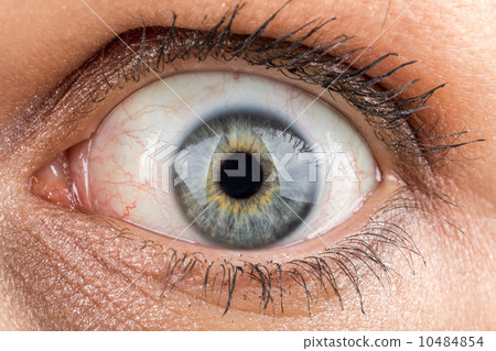 middle age woman eye macro 10484854