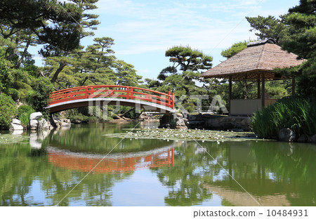 Kagawa prefecture Marugame city 'Nakatsu Millenial Garden (Marugame clan Kyogokuya' s Wanderer Daimyo garden) 'of Meguetsukyo and Fish Rakuten Kagawa prefecture Marugame city 'Nakatsu Millenial Garden (Marugame clan Kyogokuya' s Wanderer Daimyo garden) 'of Meguetsukyo and Fish Rakuten 10484931