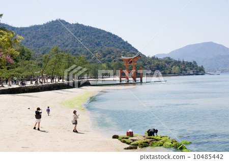 在嚴島海灘上玩耍的人的風景 在嚴島海灘上玩耍的人的風景 10485442