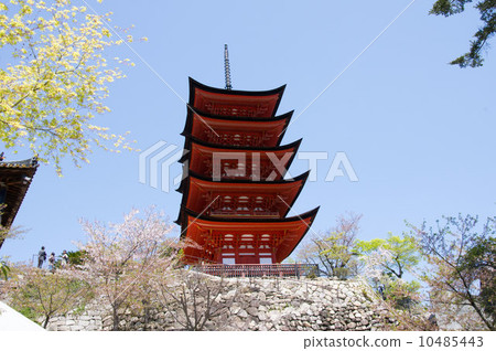 嚴島五層寶塔的風景 嚴島五層寶塔的風景 10485443