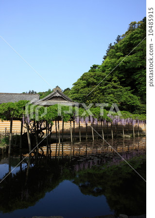 Izumo Taosha mirror pond Izumo Taosha mirror pond 10485915