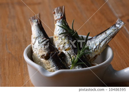 油沙丁魚 10486395