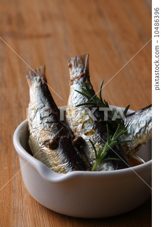油沙丁魚 10486396