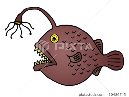 多指鞭冠鮟鱇 10486745