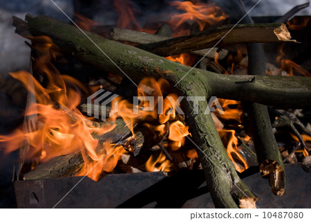 Tree branches burning in brazier 10487080