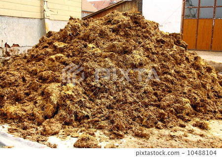 Big pile of manure, as background Big pile of manure, as background 10488104